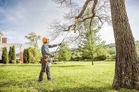 Best Commercial Tree Services  in Stockton, KS